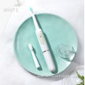 Adult travel sonic toothbrush battery operated toothbrush
